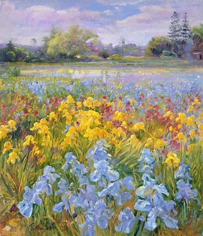 アイリス、ウィローとモミの木、1993 作： Timothy Easton